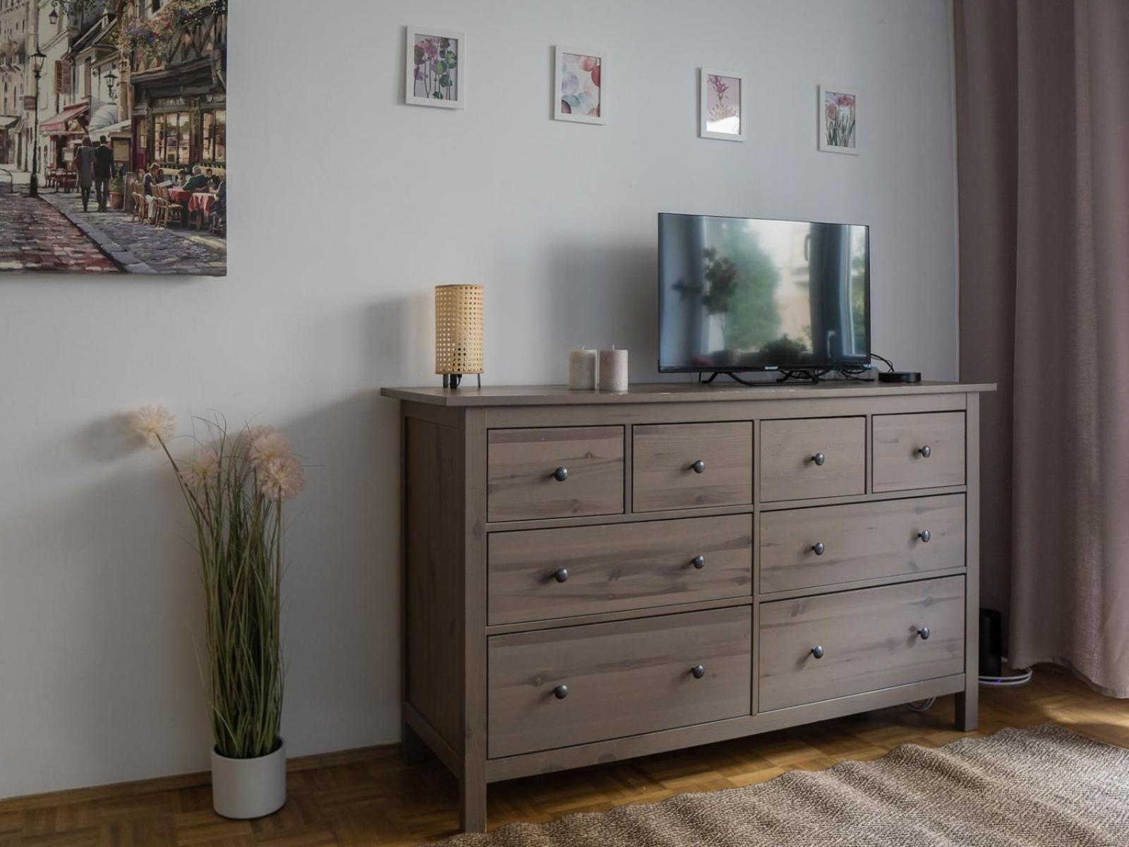 Apartment Stara Praga *